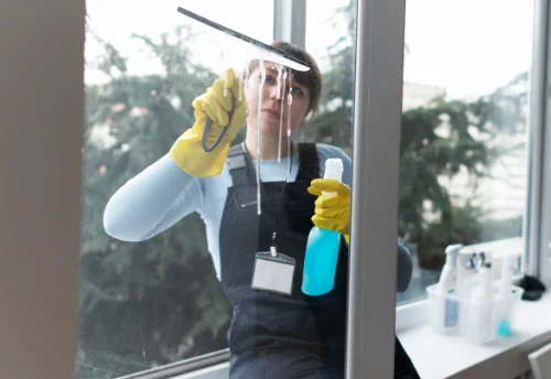 Nettoyage de vitres intérieures et extérieures à Léaz